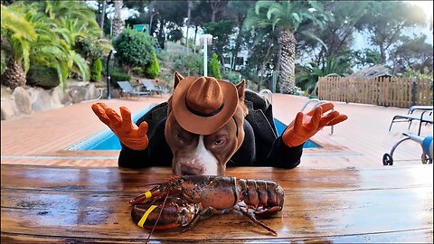 Lobster 🦞