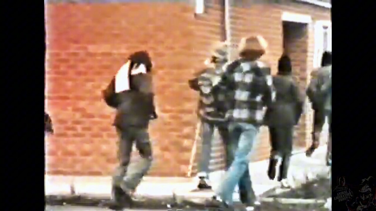 The Passion Of The 80s Liberators - The ALF