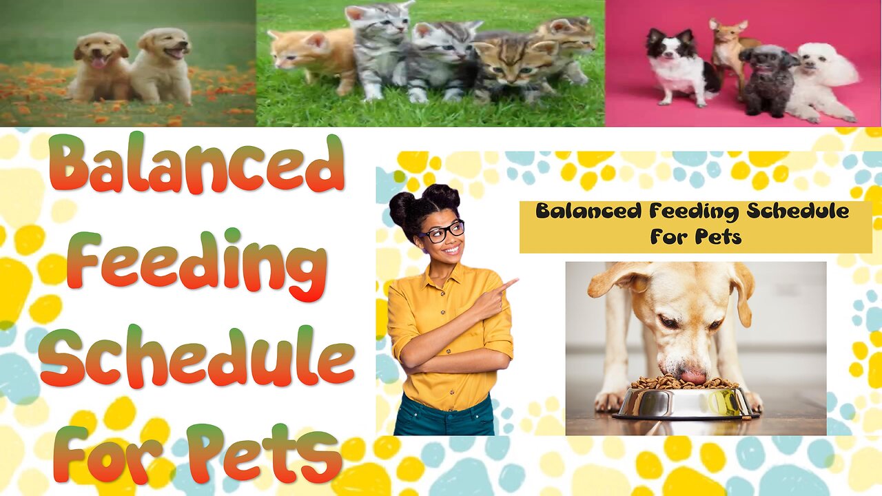 How to Create a Balanced Feeding Schedule For Your Pets