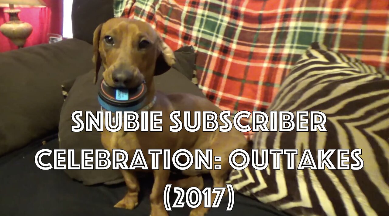 Snubie Subscriber Celebration: Outtakes (2017)