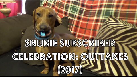 Snubie Subscriber Celebration: Outtakes (2017)