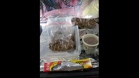 Mycology Mondays #86 - How I Make Ziploc Tek Grain 🌾 Bags