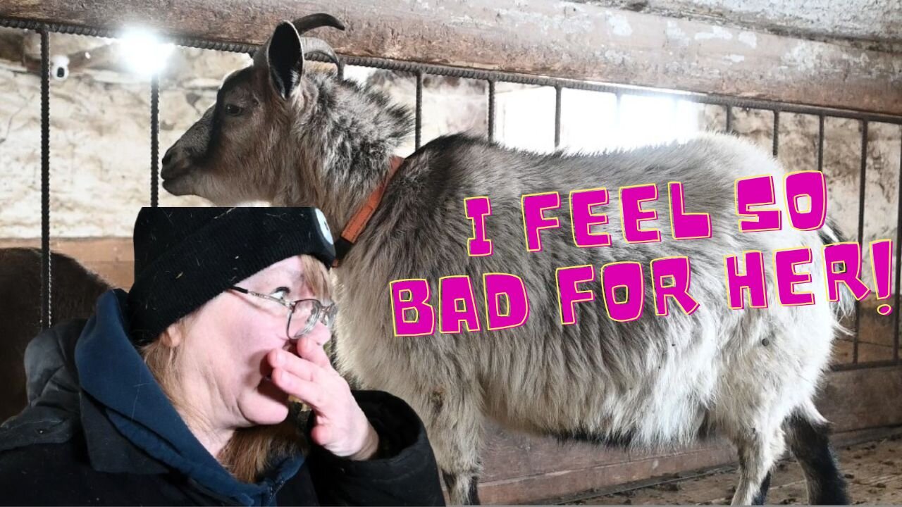 I'm So SORRY! We will NEVER Breed you again