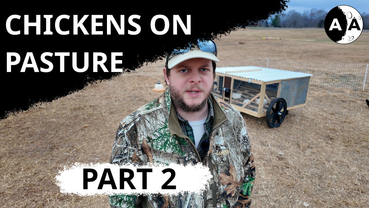 Moving Chickens on Pasture with Mobile Coop and Electric Netting Part 2