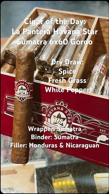 La Pantera Havana Star Sumatra 6x60 Gordo #Short #Shorts #CigarOfTheDay
