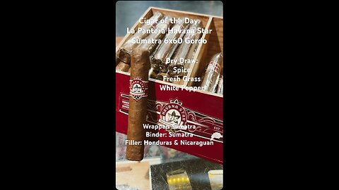 La Pantera Havana Star Sumatra 6x60 Gordo #Short #Shorts #CigarOfTheDay