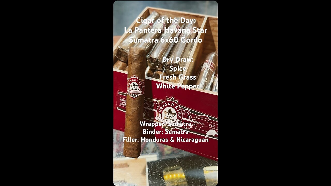La Pantera Havana Star Sumatra 6x60 Gordo #Short #Shorts #CigarOfTheDay