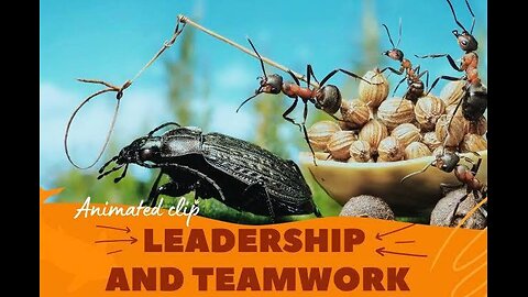 Teamwork and Leadership | Animated short clip