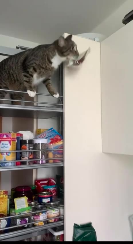 Robbery for the benefit of others 🤣