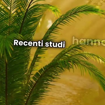 Vitamina D e Osteoporosi: Nuovo Consenso degli Esperti ☀️🦴