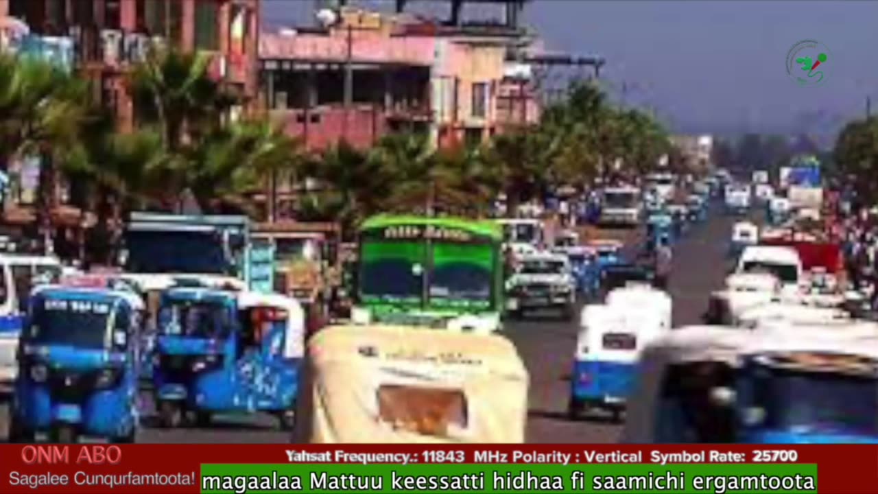 Oduu Ganama ONM-ABO Guraandhala 16-2025 itti dhiyaadhaa!