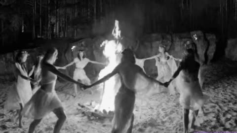 29 - Children of Hollywood