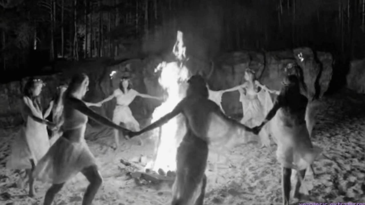 29 - Children of Hollywood