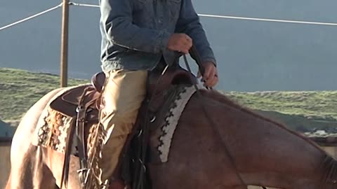 This is what a foundation looks like.