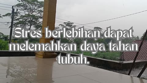 Today's wise words in Indonesian Part 52