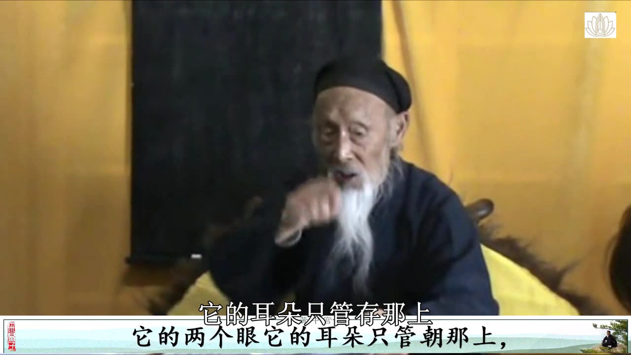 08.張至順道長講解太乙金華宗旨丨迴光活法第七