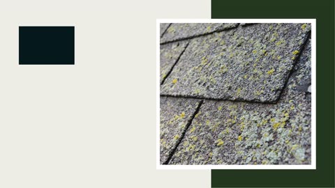 How to Apply Zinc Sulfate Powder on Roof Moss