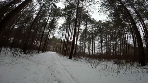 ❄️2025⛷️❄️03-06☃️-2🏂Winter Hiking⛄ Welcome To Pinhey Sand Dunes Trails Part 1 in Ottawa ⛷️🍁