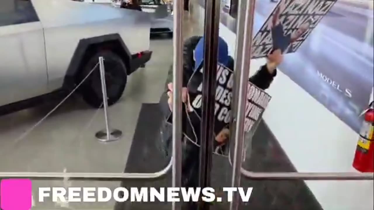 Retards who are against DOGE uncovering FRAUD protest at NYC Telsa Dealership