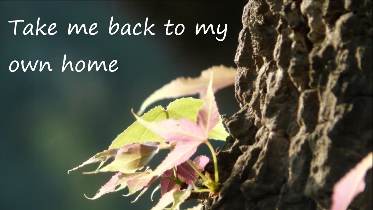 The Marmalade — Reflections Of My Life (lyrics).