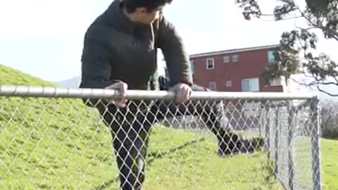 how animals jump fence