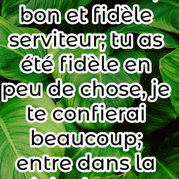 "Bien-Fait, Bon et Fidèle Serviteur" Matthieu 25:23#shorts #youtube #jesus #ytshorts #youtubeshorts