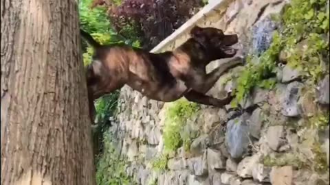 Overcoming Obstacles