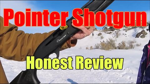 Pointer Phenoma Shotgun Review | Good First Shotgun | 20 Gauge Review