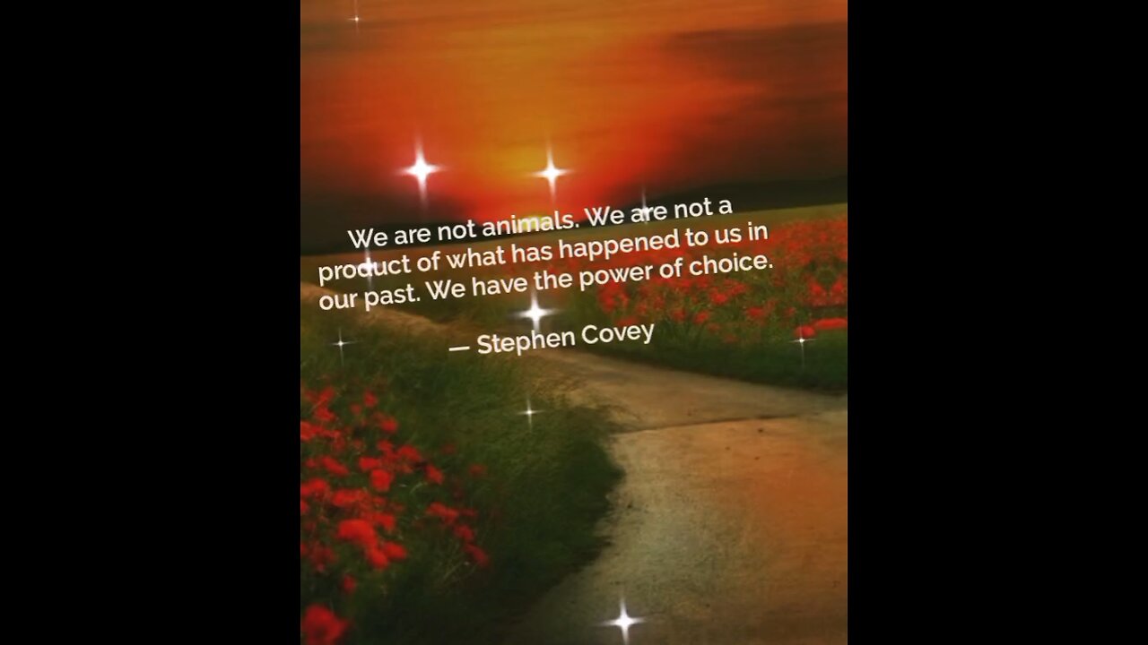 Your Qoute For A Day 220