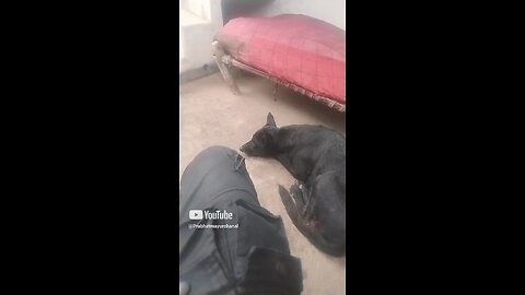 jhe