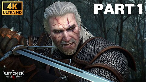 The Witcher 3 Wild Hunt Part 1 No Commentry RTX 1650 Gameplay
