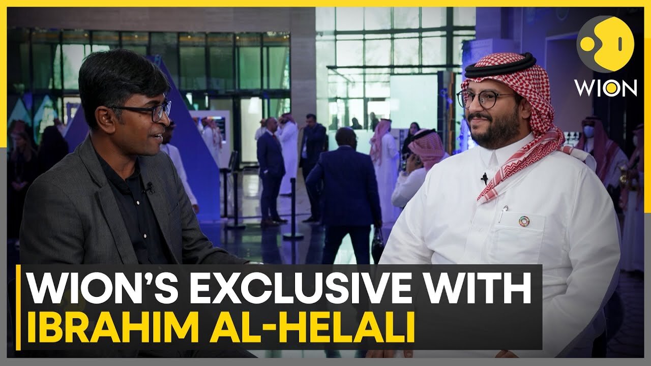 ‘G20 Countries Have A Responsibility’: WION's Exclusive With Ibrahim Al-Helali | WION Exclusive