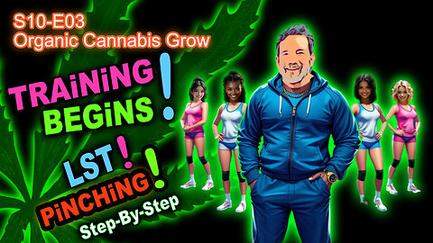 S10 E03 - How To LST (Low-Stress Training) Cannabis & Pinch Bud Sites – Step-By-Step