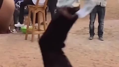 Funny dance moves