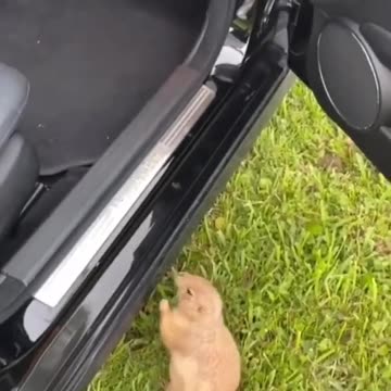 Tag the friend you want to see 😂😍