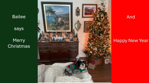Bailee says Merry Christmas and Happy New Year!