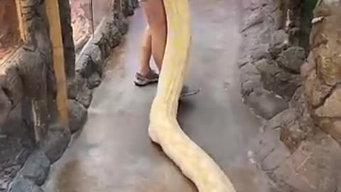 Zoo tour 😁