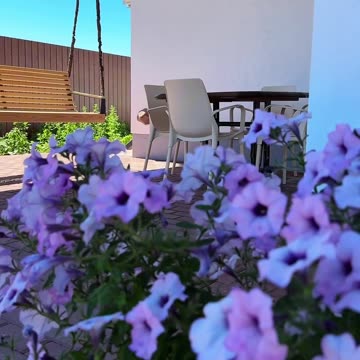 Manor Magic Place - Review of the third house for 6 guests