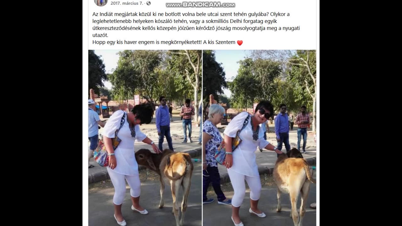SZENT GRÁL MISZTÉRIUM... színházi hyppolitok, SÁROS ágik, polgári polgárok, festmények és aóranyak