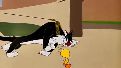 Looney Tunes Golden Collection S1950E01 Home Tweet Home