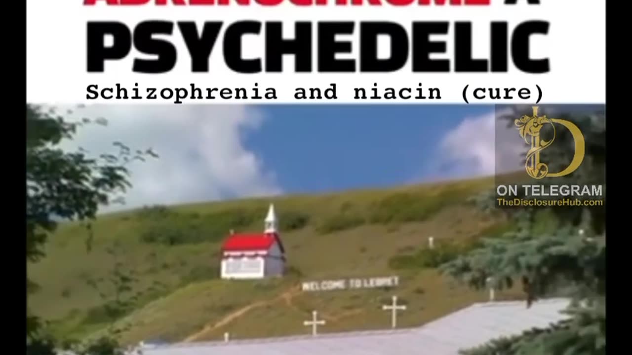 Adrenochrome it’s also a psychedelic that causes schizophrenia and can be cured with niacin