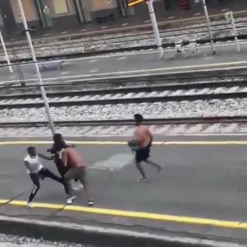 African immigrants have a bloody fight in Italy LOL They are ruining the civilized world