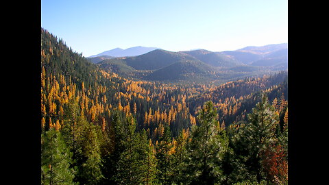 #3. Mark Wisdom Trail Camera Videos - Eastern Oregon.