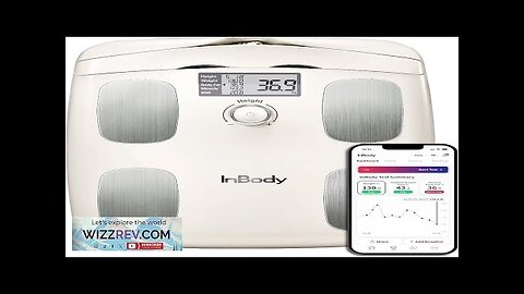 InBody Dial H20 Body Fat Scale InBody Scale for Body Weight Review