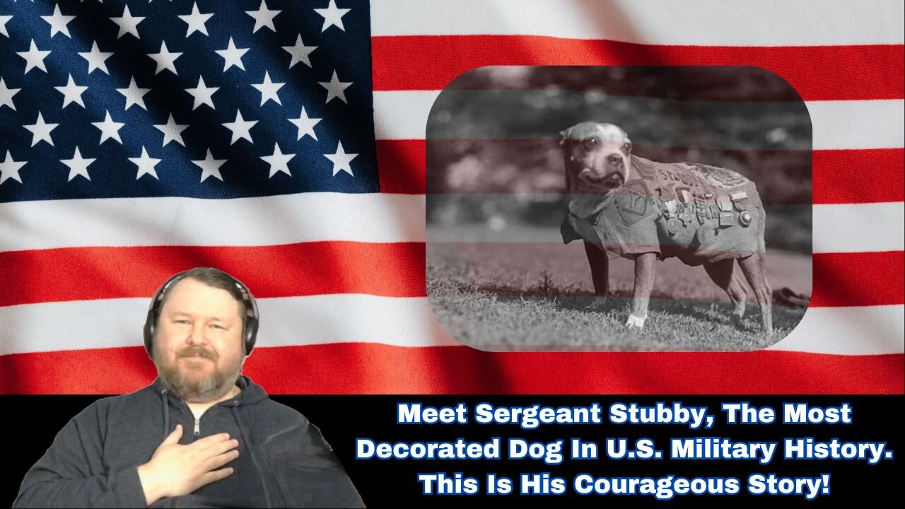 Meet Sergeant Stubby, The Most Decorated Dog in U.S. Military History. This is His Courageous Story!