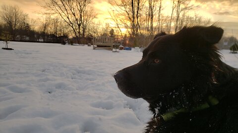 Douglas Catching Frisbee During Sunset