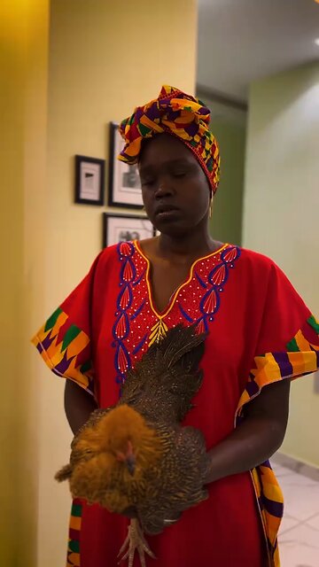 Funny Video #funny #3