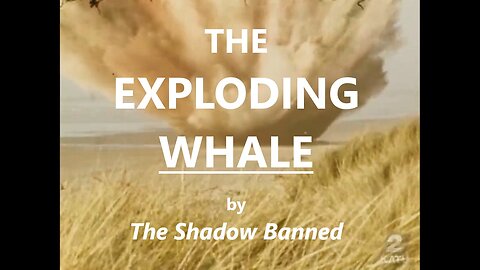 THE EXPLODING WHALE - The Shadow Banned