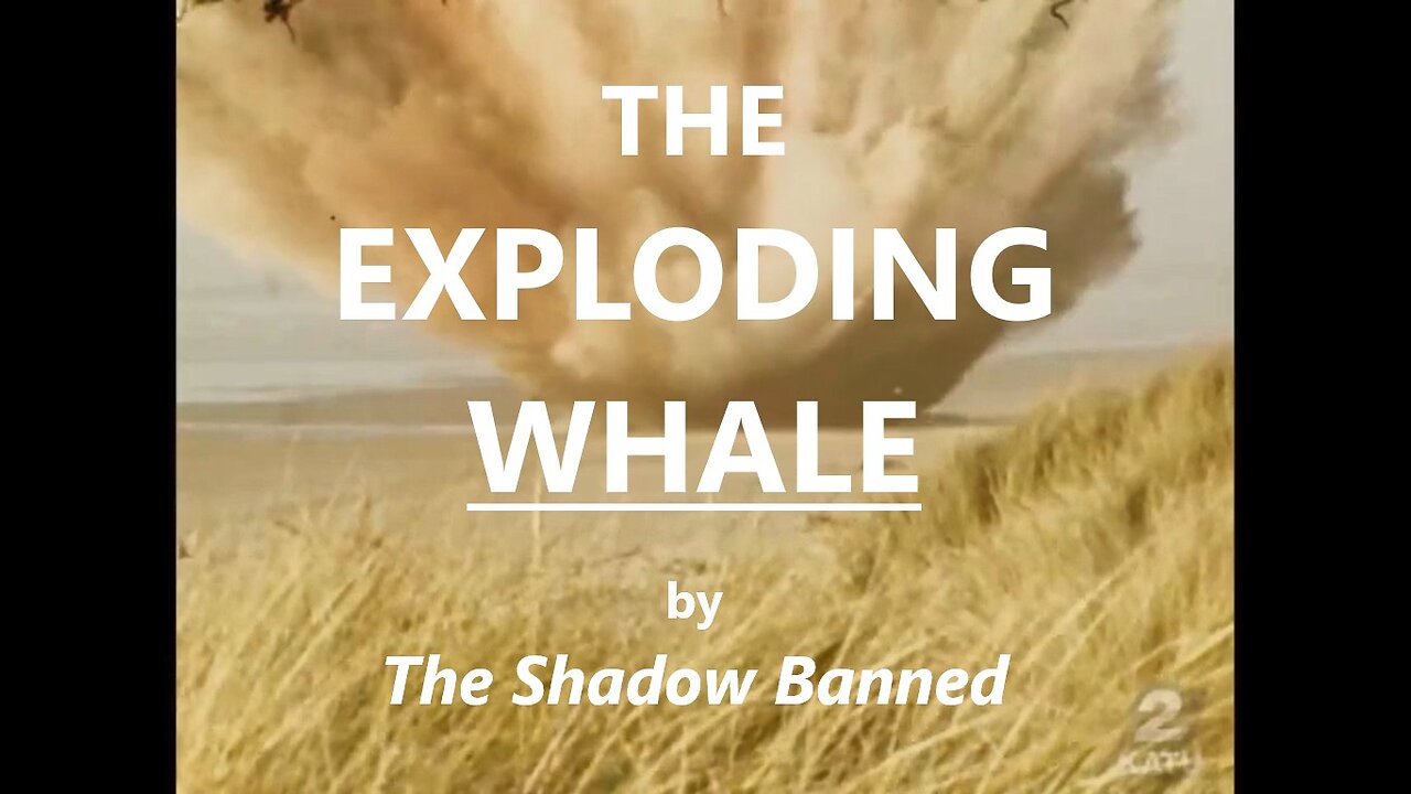 THE EXPLODING WHALE - The Shadow Banned