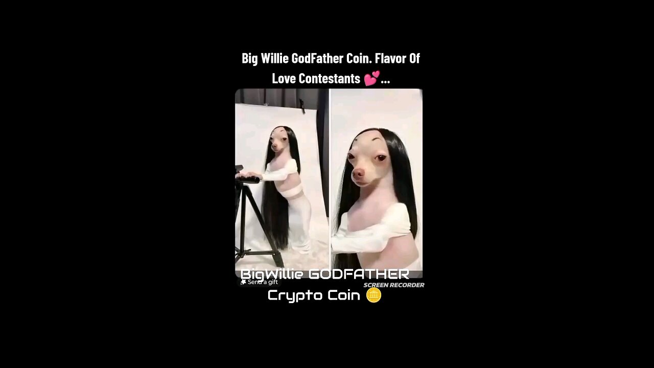 The BigWillie GODFATHER Crypto Coin.
